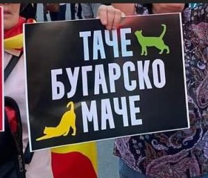 tace-bugarsko-mace-tache-bugarsko-mache