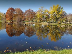 esen-sonce-park