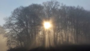 magla-sonce-1