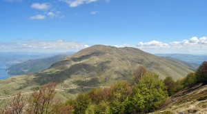 Galichica