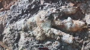 Stapalka-od-dinosaur-vo-Britanija