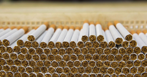 cigari-110