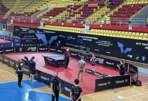 ping-pong