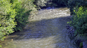 Reka