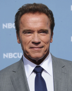 arnold-shvarcernejger