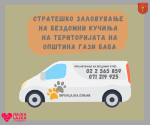 image-72