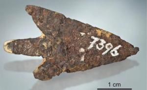 image-42