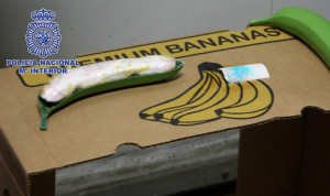 zapleneta-droga-vo-banani