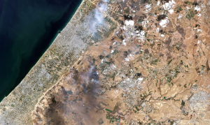 gaza-01.11.23