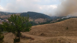 image-46