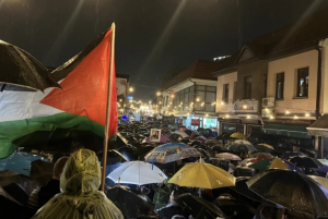 protest-za-gaza