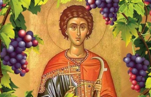 image-28