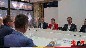 VMRO-VLEN-rabotna-grupa