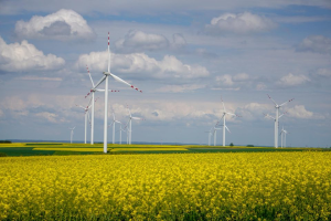 Veternici-energija