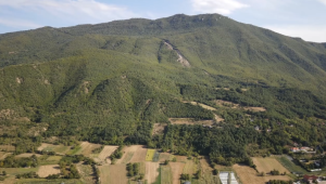 planina