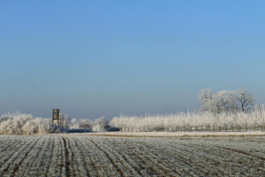 Niva-Slana-zemjodelie-freepic